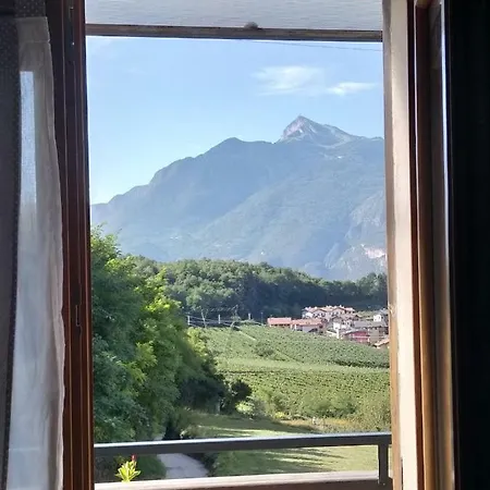 Al Maso Trento